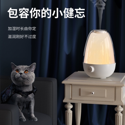家用精油静音大容量迷你小型增湿机 香薰机加湿器